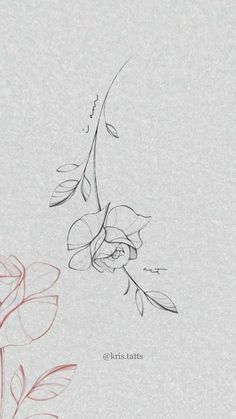 a drawing of a branch with flowers on it