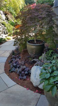 a stone path leads to a potted tree and shrubbery on the side of a house