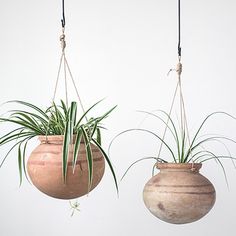 two hanging planters with air plants in them