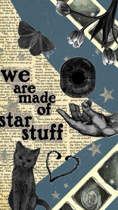 we are made of star stuff with cats and butterflies around it on an old book page