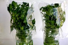 two mason jars filled with fresh herbs sitting on a table