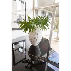 a potted plant sitting on top of a glass table