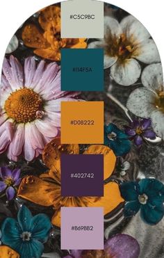 the pantone board shows different colors of flowers