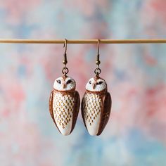 pair of owl shaped earrings hanging from a clothes line with pink and blue background in the foreground