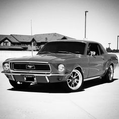 a black and white photo of a mustang in a parking lot with houses in the background