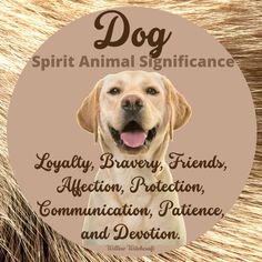 a dog is shown with the words spirit animal significance on it's back side