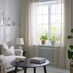 a living room with a couch, table and potted plant in the window sill