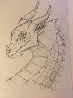 a pencil drawing of a dragon head