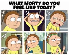 a comic strip with the caption'what morty do you feel like today? '