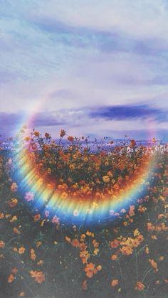 an image of a rainbow in the sky above flowers and grass with sunbeams