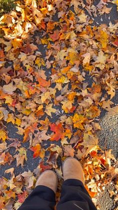 a person standing in front of leaves on the ground