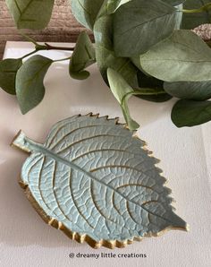 a green leaf sitting on top of a white table