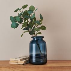 a blue vase filled with green leaves on top of a wooden table next to a stack of books