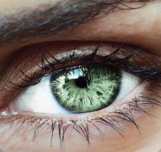 Green Eye Aesthetic, Green Eyes Aesthetic, Eye Aesthetic, Eyes Aesthetic, Beautiful Eyes Color, Travel Entertainment, Emerald Eyes, Green Eye, Health Tech