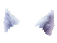 two white feathers on a white background