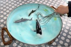 a person is whisking some fish out of the water in a metal bowl