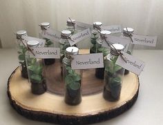 there are many small glass bottles with plants in them on a wooden stand that has labels attached to it