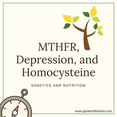 MTHFR polymorphisms, depression, and homocysteine -- study showing response to supplements Low Tyramine Diet, Silent Struggle, Panic Attack Symptoms, Dysautonomia Pots, Mast Cell Activation Syndrome