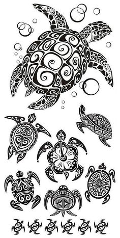 an image of sea turtles with different designs on their body and head, all in black ink