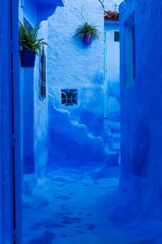 an alley way with blue walls and potted plants