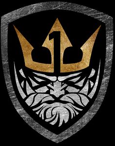 a black and gold shield with an image of a lion's head on it