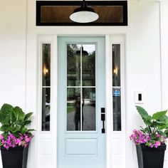 two potted plants are sitting in front of the door