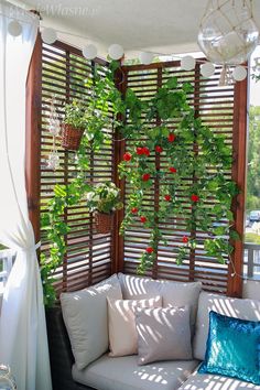 an outdoor living room with plants growing on the wall