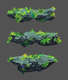 some plants growing out of the rocks and grass on top of each other, in different stages