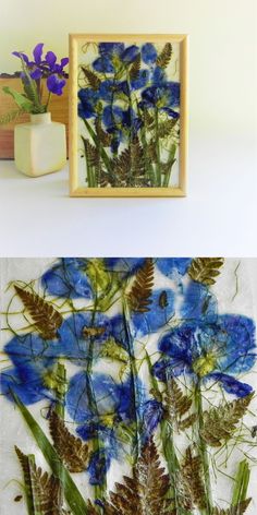 blue flowers are displayed in two different frames