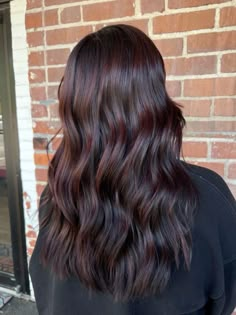 dark red hair Cocoa Cinnamon Hair Color Brunettes, Chocolate Cherry Highlights On Black Hair, Dark Brunette Red Undertones, Dark Hair With Undertones, Deep Red Lowlights In Brown Hair, Dark Hair Cherry Highlights, Violet Undertones Hair Dark Brown, Dark Cherry Highlights On Brown Hair