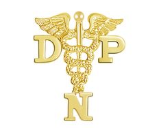 14K Gold DNP Dr of Nursing Practice Pin - NursingPin.com Doctor Of Occupational Therapy, Masters In Nursing, Bsn Nursing, Registered Dental Hygienist, Doctor Of Nursing Practice, Nurse Jewelry, Pinning Ceremony, Nursing Pins, Lpn Nursing