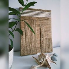 a close up of a sea shell and a plant on a table next to a wall hanging