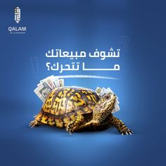 a tortoise with money on its back and the words what is it? written in arabic