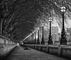 black and white photograph of trees lining the sidewalk in front of city buildings with street lamps on either side