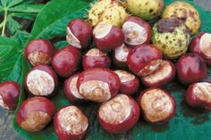 some very pretty looking fruits on a green leaf