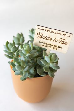 there is a small potted plant with a sign on it