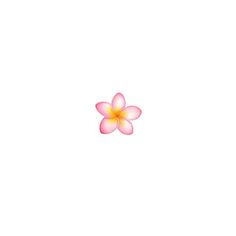 a pink and yellow flower on a white background