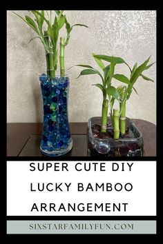 how to make lucky bamboo gifts Bamboo Plants, Crafts To Make And Sell