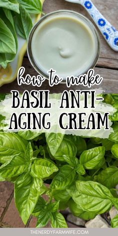 This DIY anti-aging face cream recipe contains fresh basil leaves, nourishing hempseed oil, and skin softening mango (or shea) butter. Skin Care Routine Diy Natural, Natural Skin Care Products Diy, Natural Skin Remedies, Homemade Beauty Products Recipes, Natural Face Remedies, Diy Cold Cream, Homemade Skincare Products, Diy Face Cream Moisturizer, Diy Face Balm