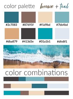 the color palette for brown and teal