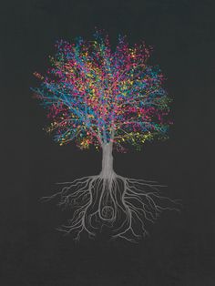 a tree with colorful leaves and roots on a black background