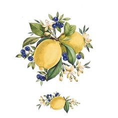 a watercolor drawing of lemons and blueberries