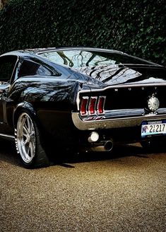 a black mustang parked in front of a hedge