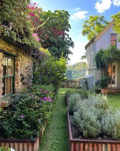 an outdoor garden with lots of plants and flowers in the grass next to a building