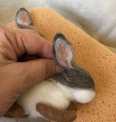 a person holding a small stuffed animal in their left hand and the other hand is touching it