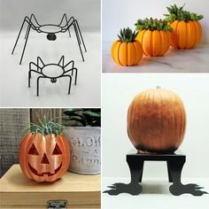 pumpkins and spider decorations are featured in this collage