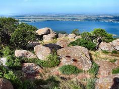 some rocks and bushes on the side of a hill with water in the back ground