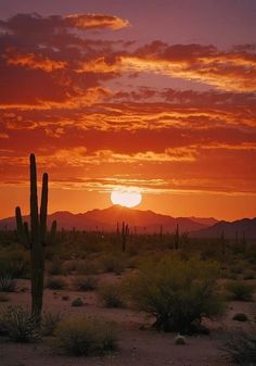 the sun is setting in the desert with saguados and cacti around it