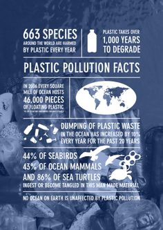 an info poster with the words plastic pollution