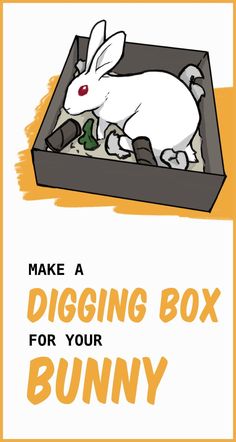 an easter bunny in a box with the words make a digging box for your bunny